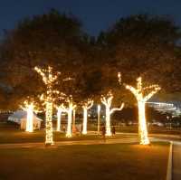 ✨LED夢幻玫瑰花海🌹添馬公園✨