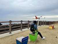 Jeju Ollie trails !!