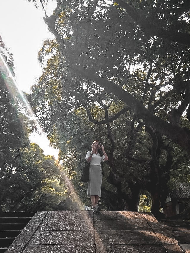 遊覽台灣超浪漫又美麗的東海大學👣 