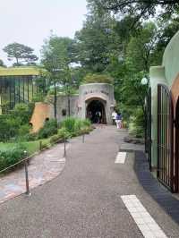 井之頭恩賜公園‼️吉祥寺5分鐘距離🤫市區必去😌