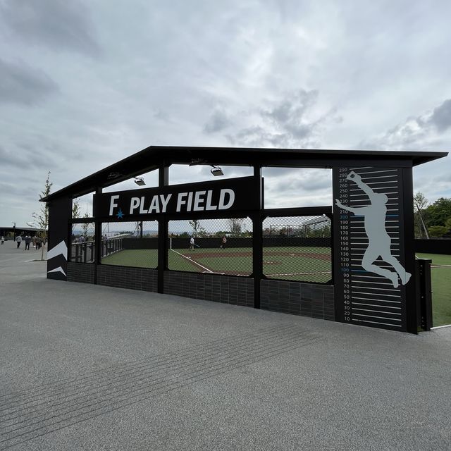 F⭐︎play field