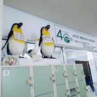 利尻島　沓形港フェリーターミナル
