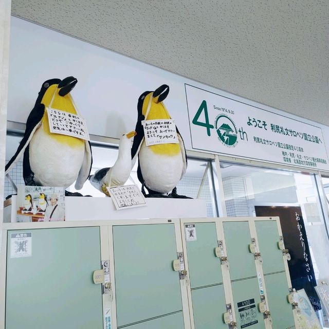 利尻島　沓形港フェリーターミナル