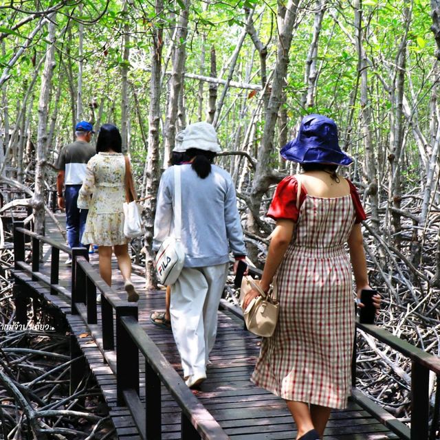 เส้นทางศึกษาธรรมชาติ วนอุทยานปราณบุรี