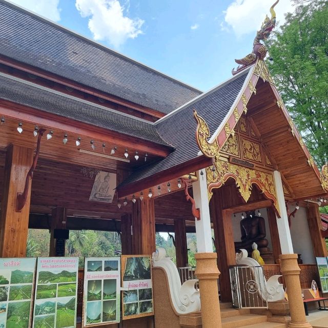 วัดดี โอโซนเด่น ต้องมาที่วัดนาคูหา