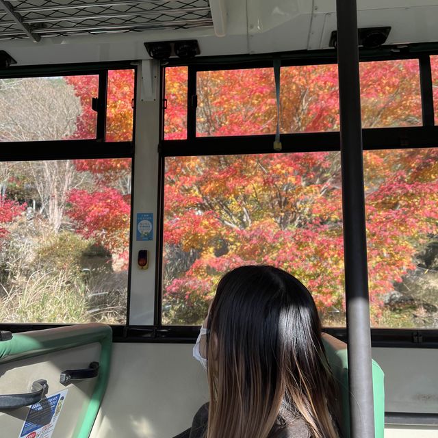 ทะเลสาปคินริน KINRIN LAKE, Oita, Japan