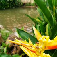 FABULOUS STAYCATION @ JANDA BAIK, PAHANG!