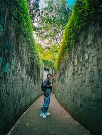 จุดถ่ายรูปยอดฮิต ปักหมุด Fort Canning Tree Tunnel