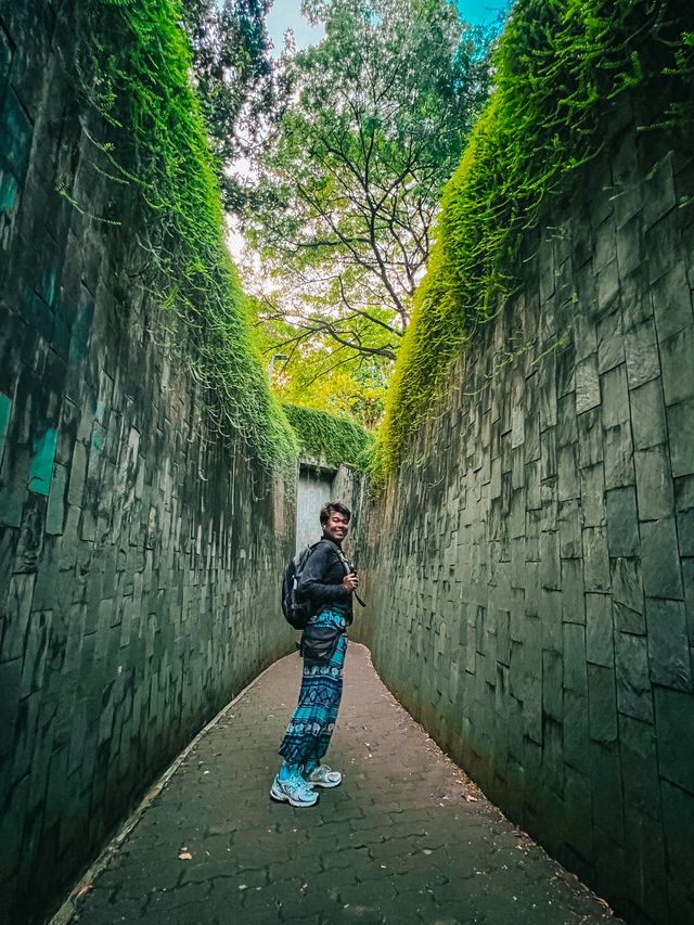 จุดถ่ายรูปยอดฮิต ปักหมุด Fort Canning Tree Tunnel