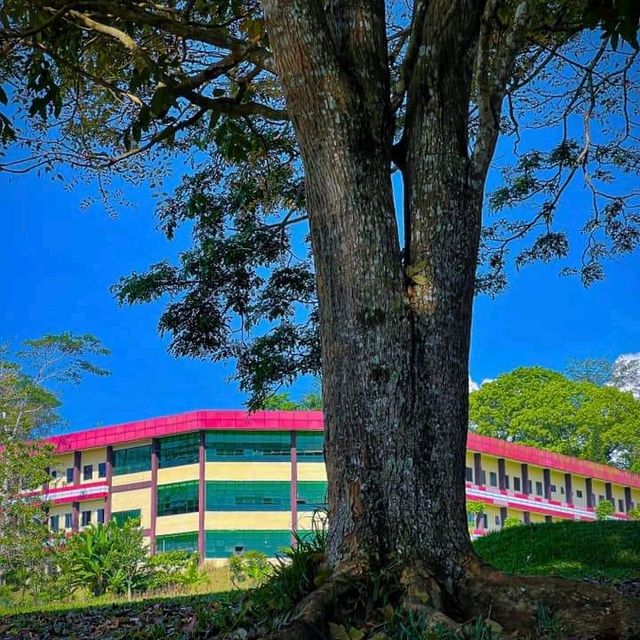 MSU Marawi breathtaking views