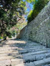 【静岡県/久能山東照宮】絶景の眺めを満喫できる家康ゆかりの神社