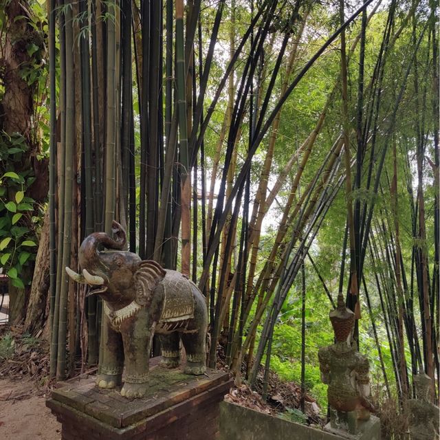 Wat Pha Lat Hike (Monk's trail)