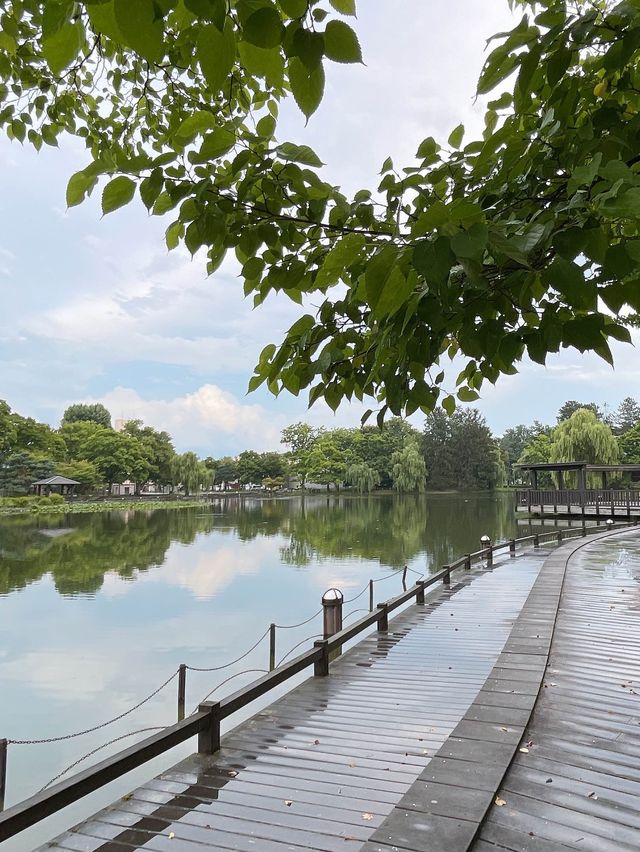 旭川市的美麗後花園～常磐公園💐