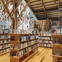 雲上圖書館～木系圖書館中的知識之旅 📚🌳