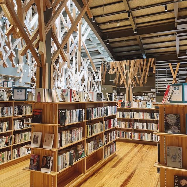 雲上圖書館～木系圖書館中的知識之旅 📚🌳