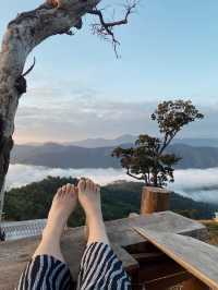 ห้วยกุ๊บกั๊บ อ.แม่แตง จ.เชียงใหม่ 🍃 