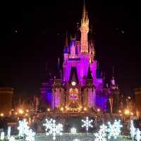 Dream-Go-Round - Tokyo Disney Resort