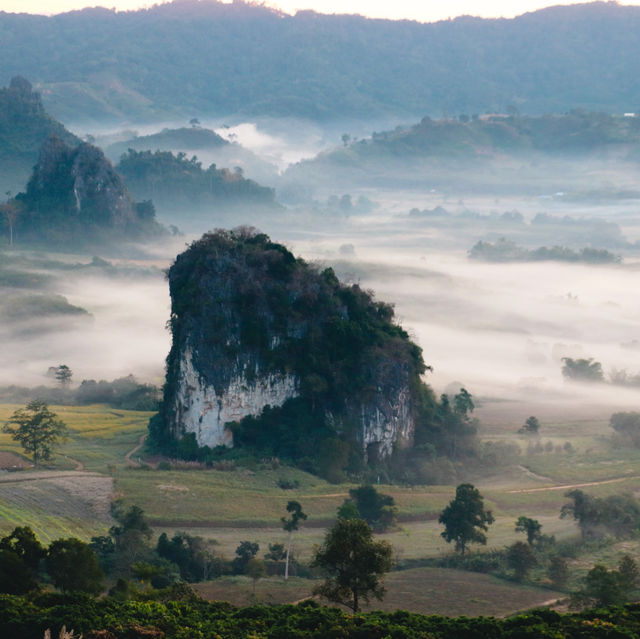 ผาช้างน้อย-ภูลังกา  