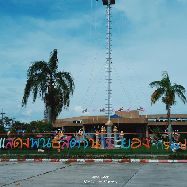#ที่เที่ยวระยอง #พิพิธภัณฑ์สัตว์น้ำระยอง #บ้านเพ
