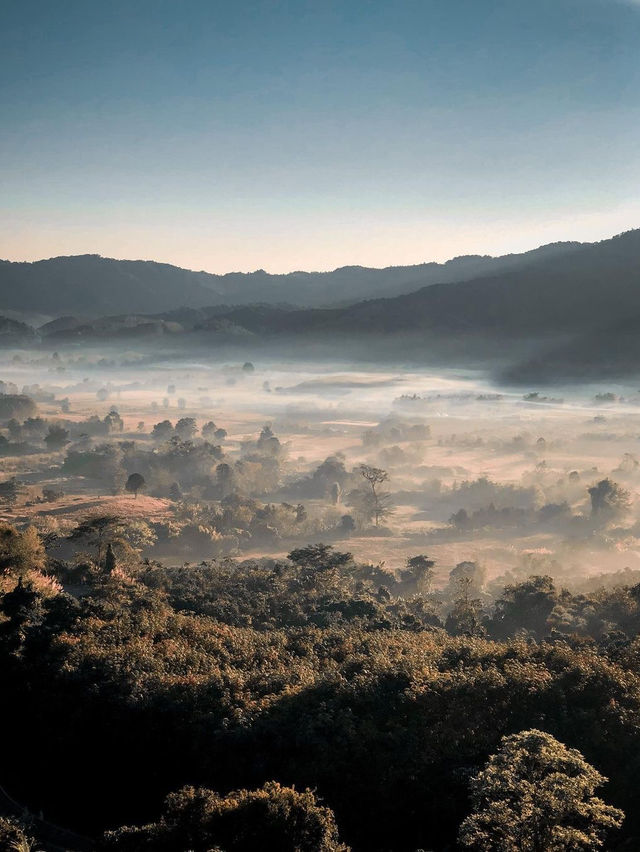 ภูลังกา พะเยา ⛰️🌳
