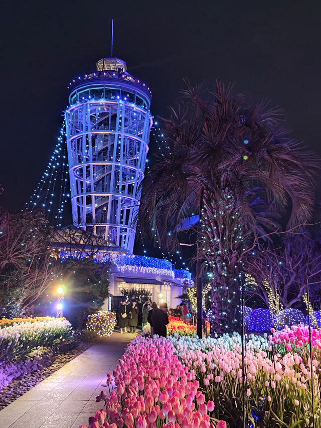 Enoshima Sea Candle