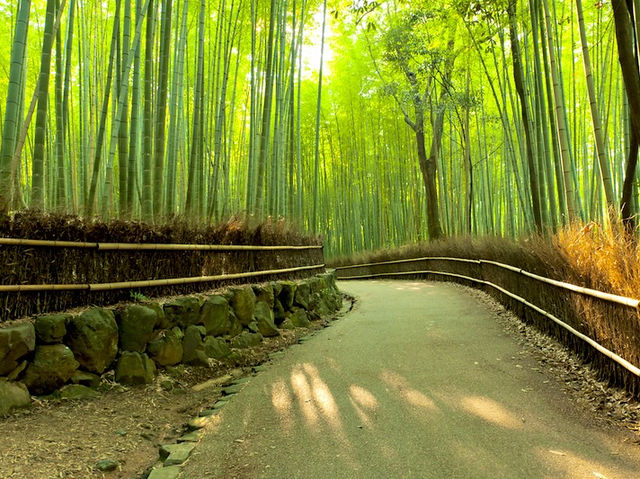 The Arashiyama Bamboo Forest