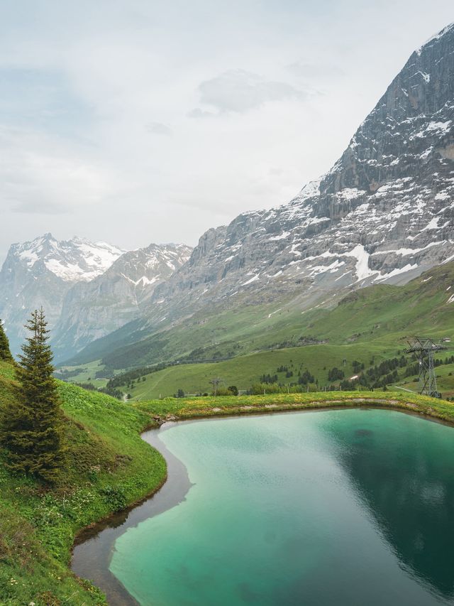 【スイス】絶景のアルプスをハイキング！初心者でも疲れないコース！