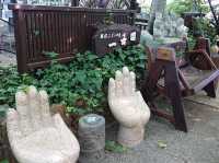 Grapes farm