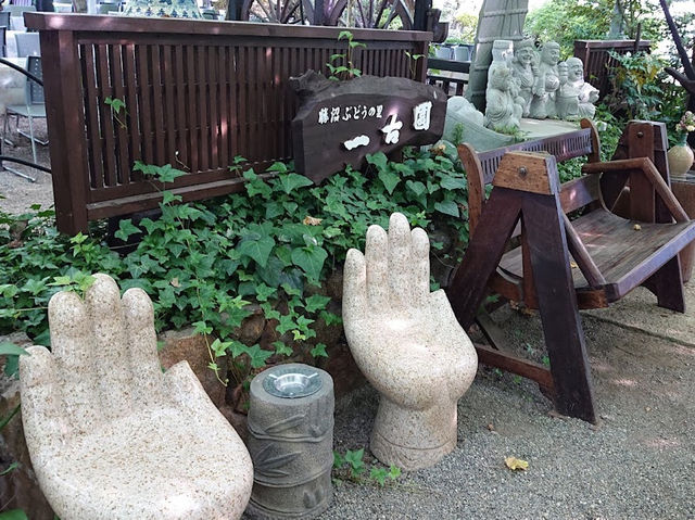 Grapes farm