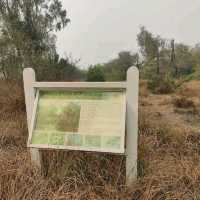 Yamuna Biodiversity 🏞️🌄 Park