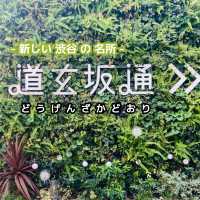 【渋谷】 道玄坂通 - 魅力たっぷりの新名所 -