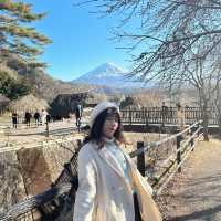 🇯🇵日本 富士山一日遊攻略🗻一定要看天氣預測！！