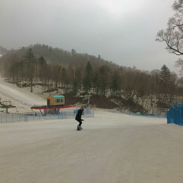 Frosty Adventure in Harbin