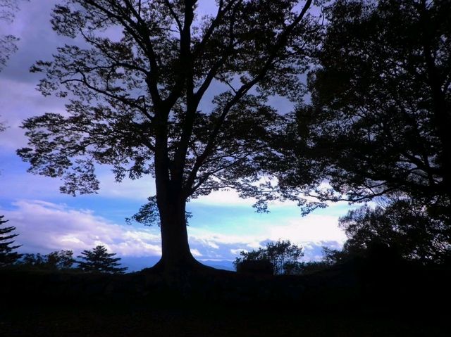 【高取城】（奈良県高取町　旧国名：大和）