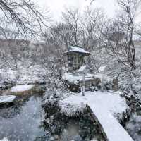名古屋冬天限定樹冰與冰瀑，可滑雪玩雪撬