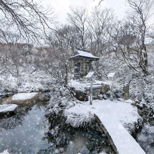 名古屋冬天限定樹冰與冰瀑，可滑雪玩雪撬