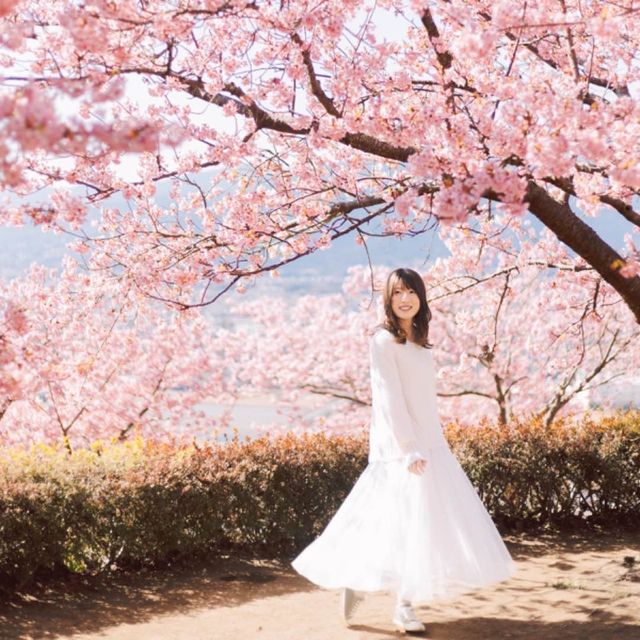 【神奈川】富士見百景にも選ばれた絶景！「松田山ハーブガーデン」🌸