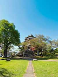 【長野】お城とサクラの絶景穴場スポット