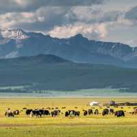 We suggest the following tours for you