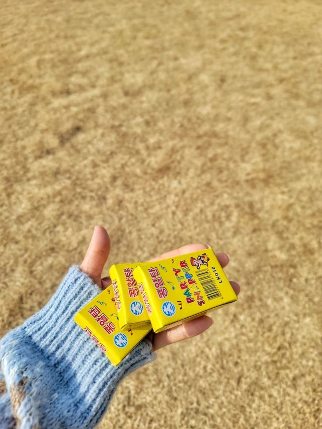 초등학생으로 돌아가서 신나게 즐긴 겨울데이트💛