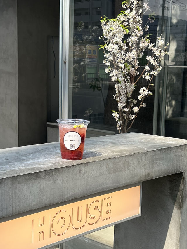 【福岡カフェ】桜やミモザ、チューリップがたくさんの春爛漫カフェ