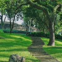 「新加坡難得的市區綠洲：肯特崗公園」