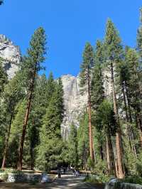 ดื่มด่ำธรรมชาติที่ Yosemite National Park ⛰️