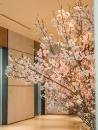 東京｜酒店大堂的櫻花 優雅浪漫🌸