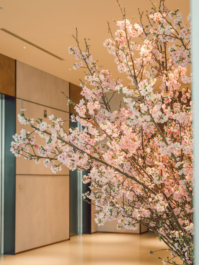 東京｜酒店大堂的櫻花 優雅浪漫🌸