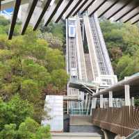 官也街+大潭山斜行升降機(買手信+高處遠眺整個澳門景色)