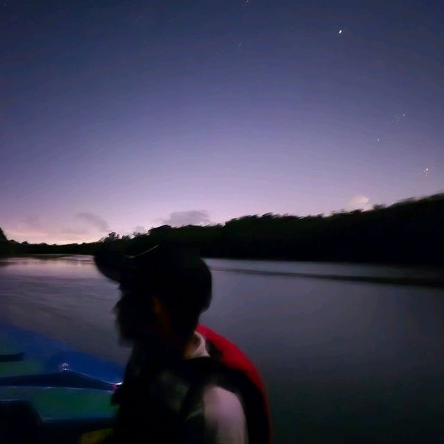 Fascinating Bintan Mangrove Night Tour