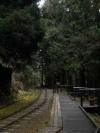 Bong Bong นั่งรถไฟสายหมอกในไต้หวัน🚃