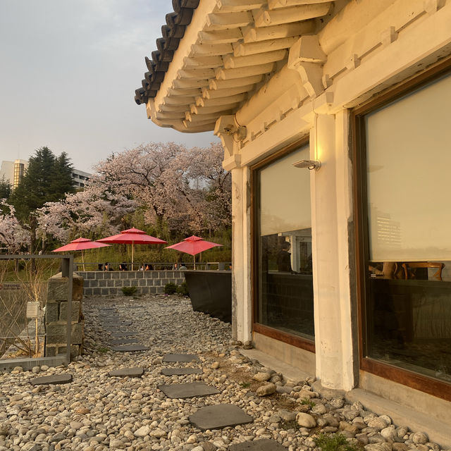 경주 보문호 벚꽃놀이 추천 카페 아덴