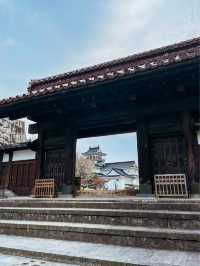 【富山】周りに咲く季節の花が素敵なお城